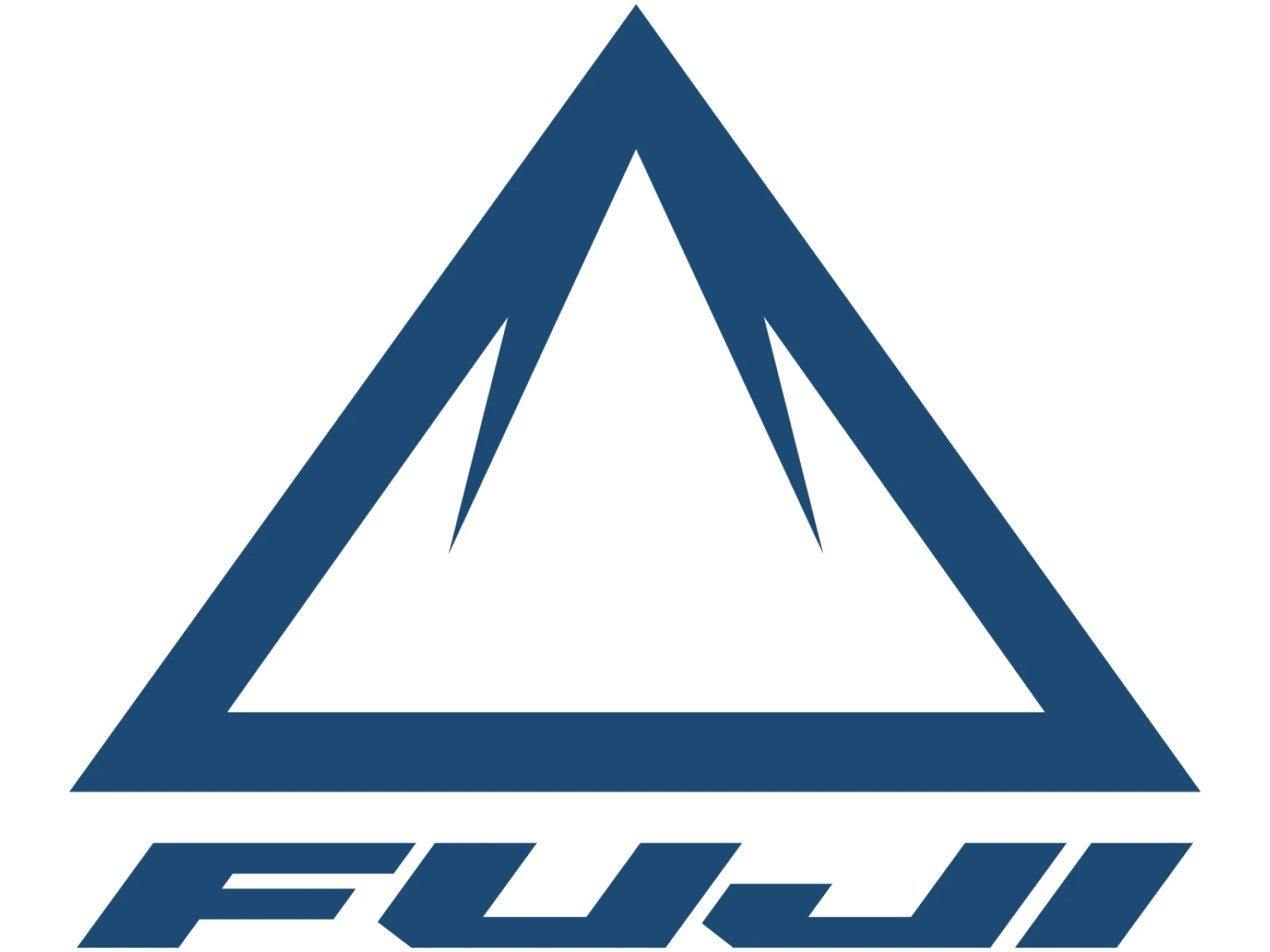 Fuji AMBIENT EVO 29 1.1 2021