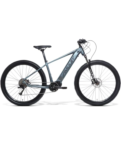 Amulet eMTB 29 erival 4.5