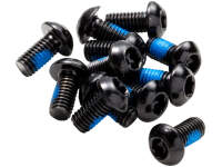 Reverse Disc Rotor Bolts