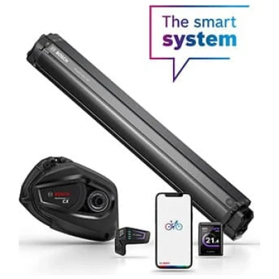 Inteligentny system
