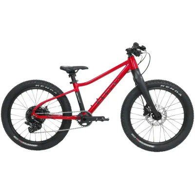 Rowerek dziecięcy Rascal Wild 20 Dziecięce 2wheels.pl - have a bike day!